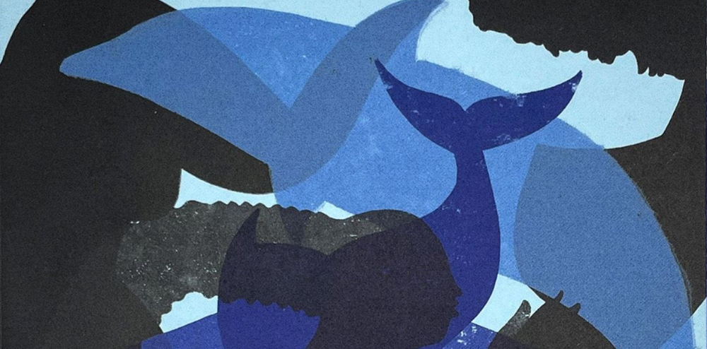Image for Book Club on 'Undrowned: Black Feminist Lessons from Marine Mammals'