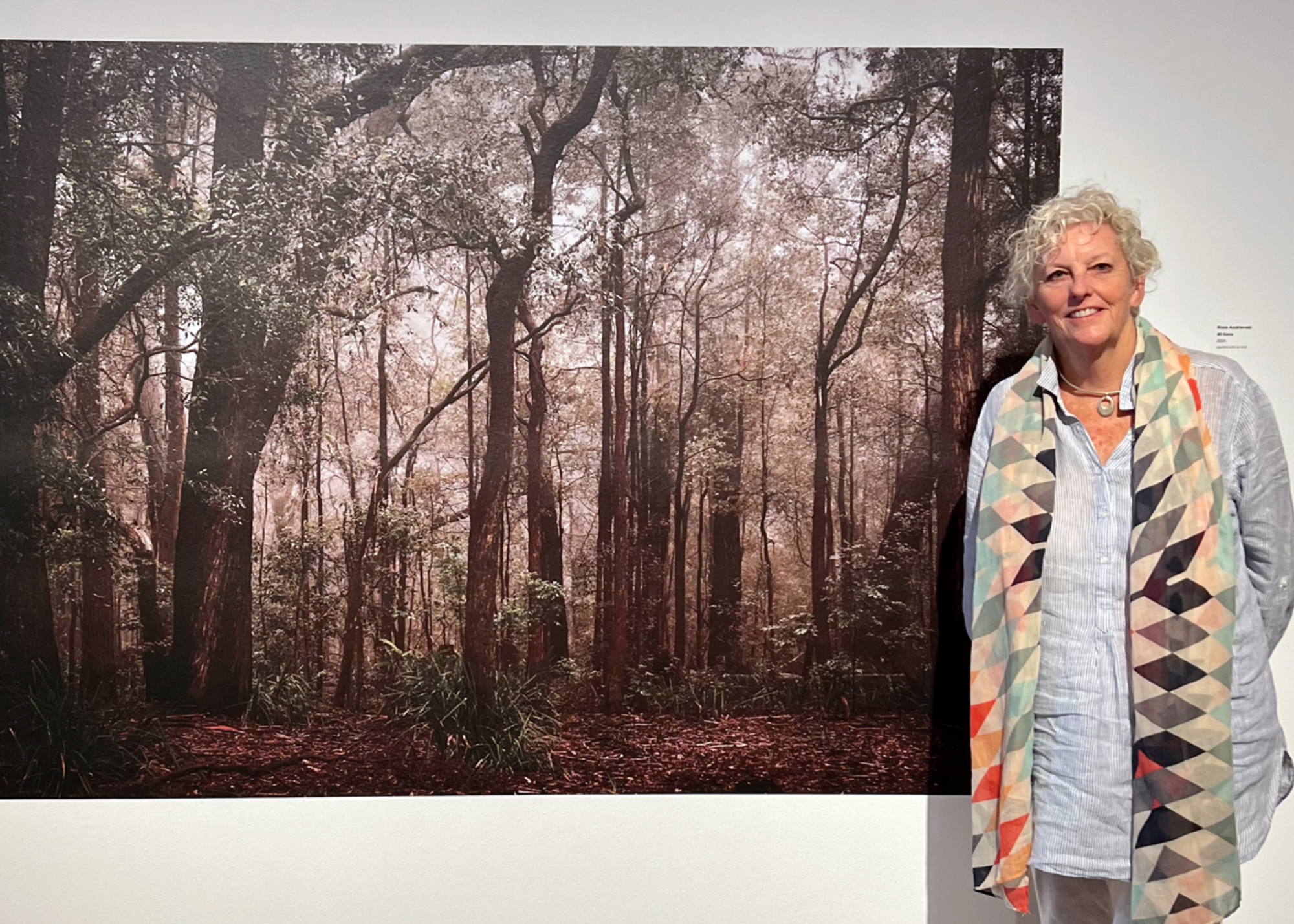 Sharon Pechy with artwork by Riste Andrievski, Mt Keira, 2024, pigment print on vinyl, Landscape Tells the Way: Illawarra 2024.